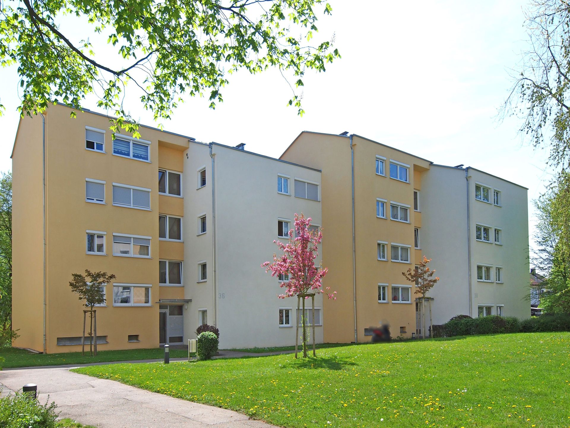 Das Bild zeigt Mehrfamilienhäuser mit gelber und weißer Fassade. Vor den Häusern erstreckt sich eine große Grünfläche mit Bäumen und einem Weg.
