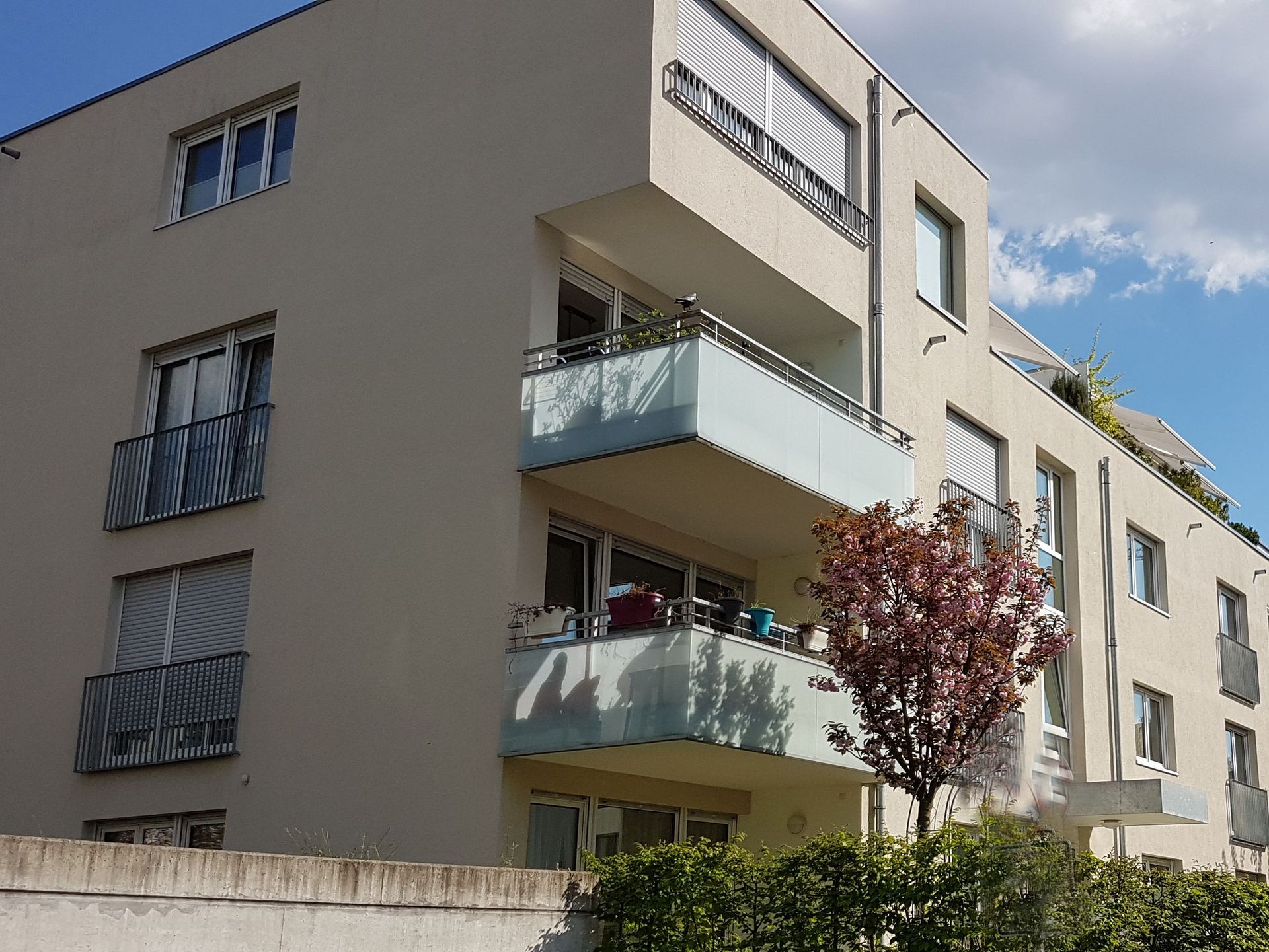 Das Bild zeigt ein Haus mit heller Fassade. Vor dem Haus ist eine Hecke und ein Baum.