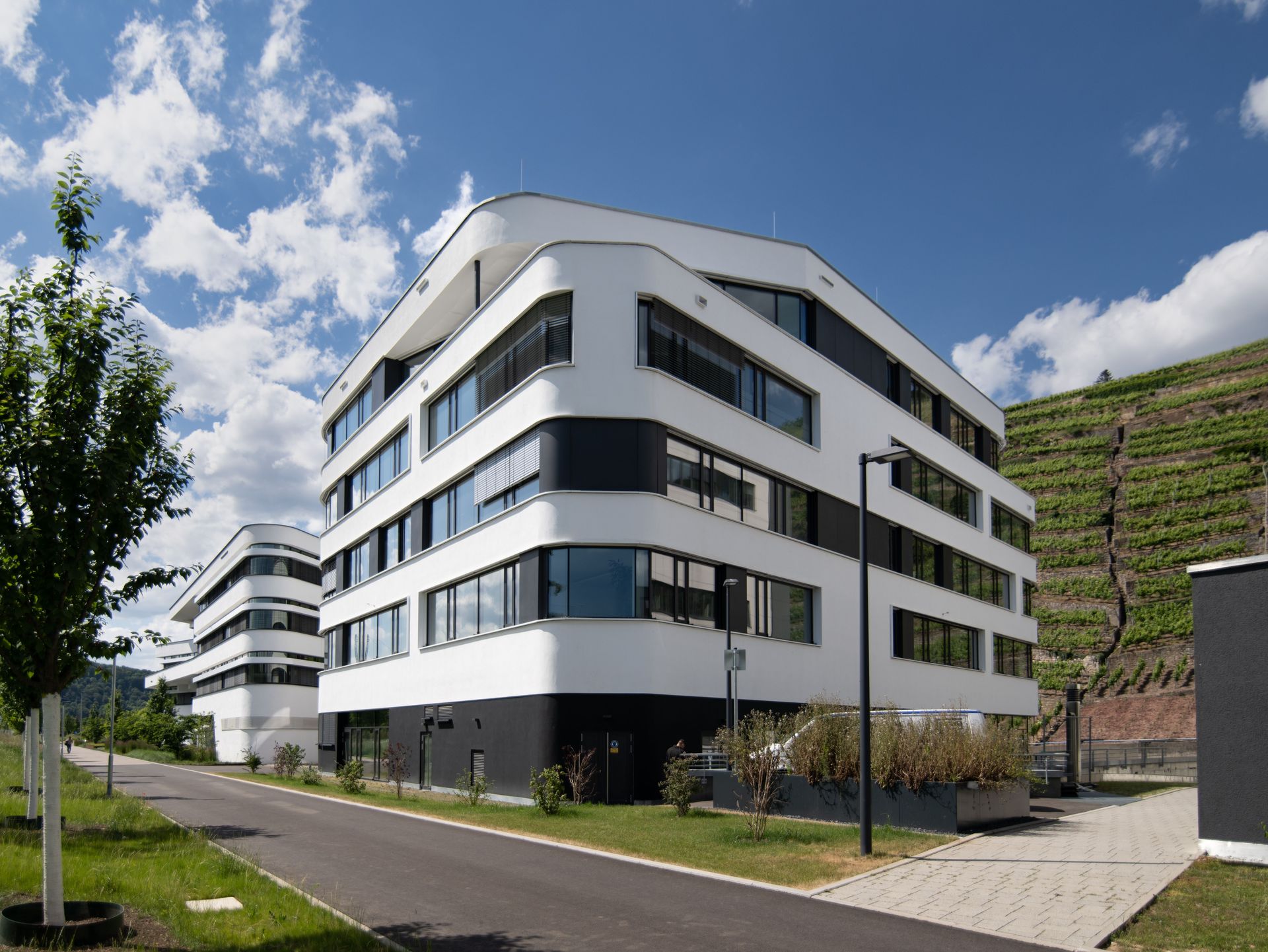 Das Bild zeigt ein modernes Gebäude mit weißer Fassade, schwarzen Elementen und abgerundeten Formen. Es liegt an einer Straße, die von Grünflächen und Bäumen gesäumt wird, und im Hintergrund ist ein Hang mit Weinreben zu sehen.