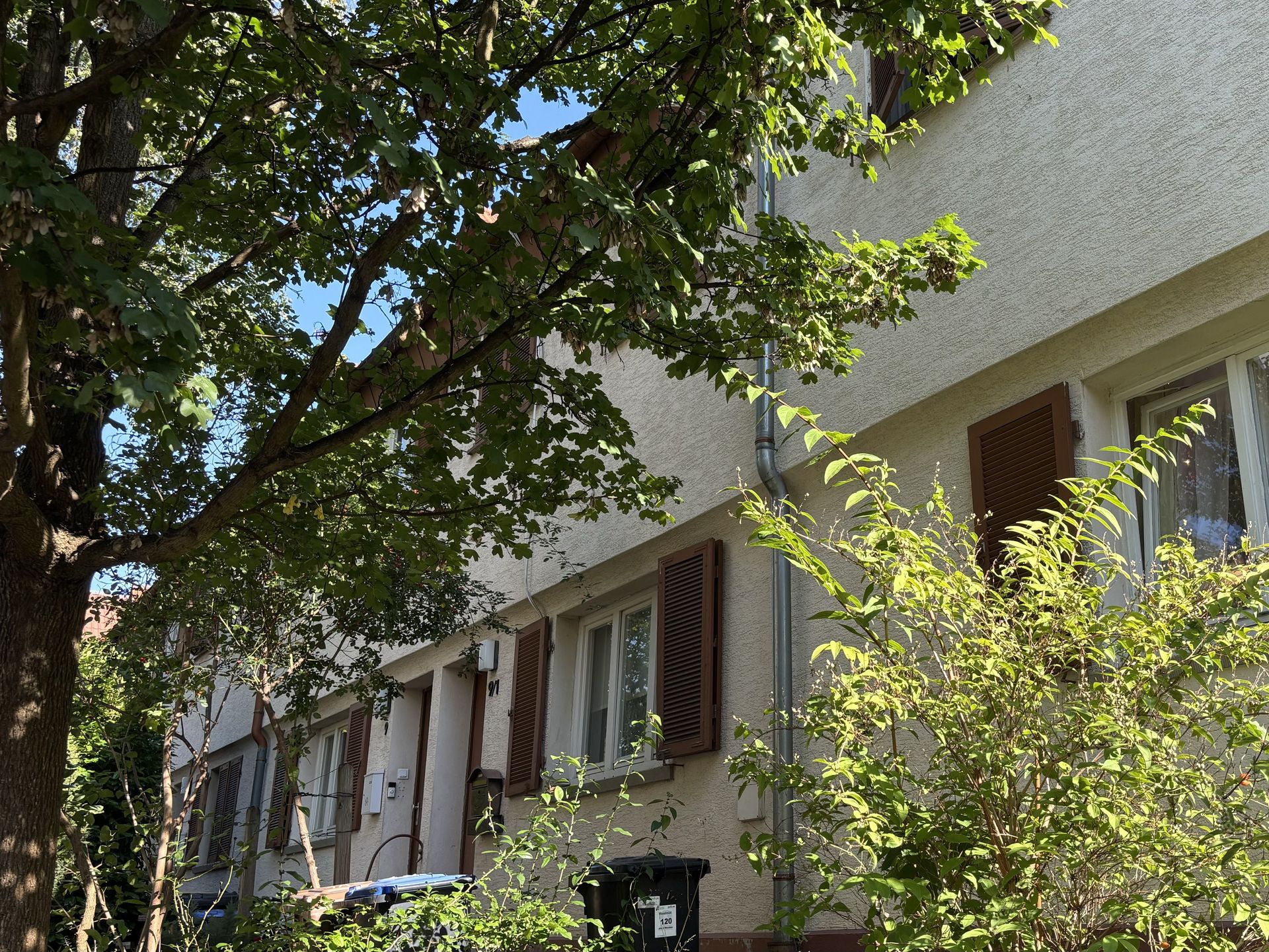 Das Bild zeigt ein Haus mit heller Fassade und braunen Fensterläden. Die Häuser sind teilweise von Bäumen und Sträuchern verdeckt, die am Straßenrand wachsen.