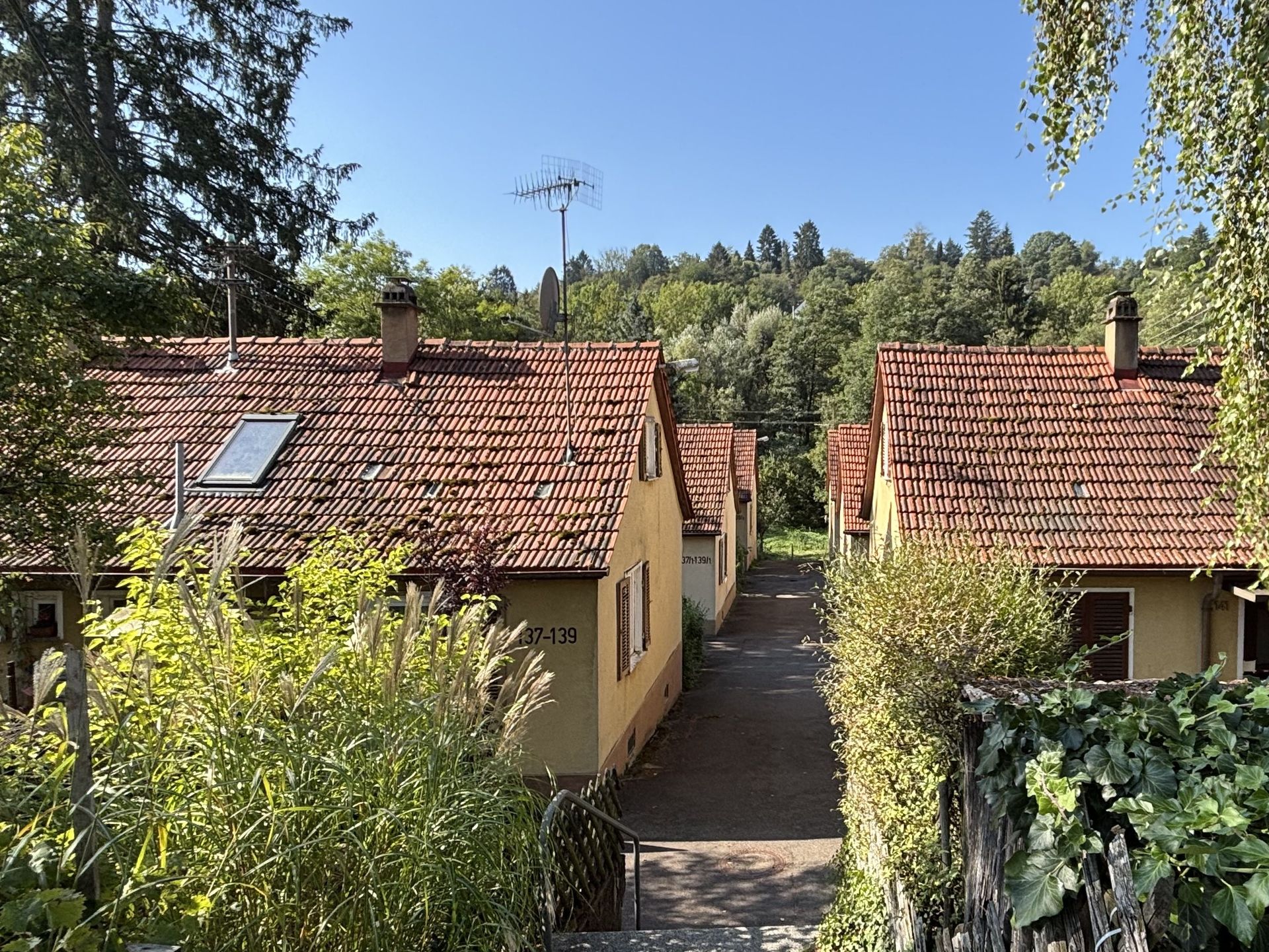 Das Bild zeigt eine Reihe von Reihenhäusern mit roten Ziegeldächern. Die Häuser liegen an einer schmalen Straße, die von Bäumen und Sträuchern gesäumt ist.