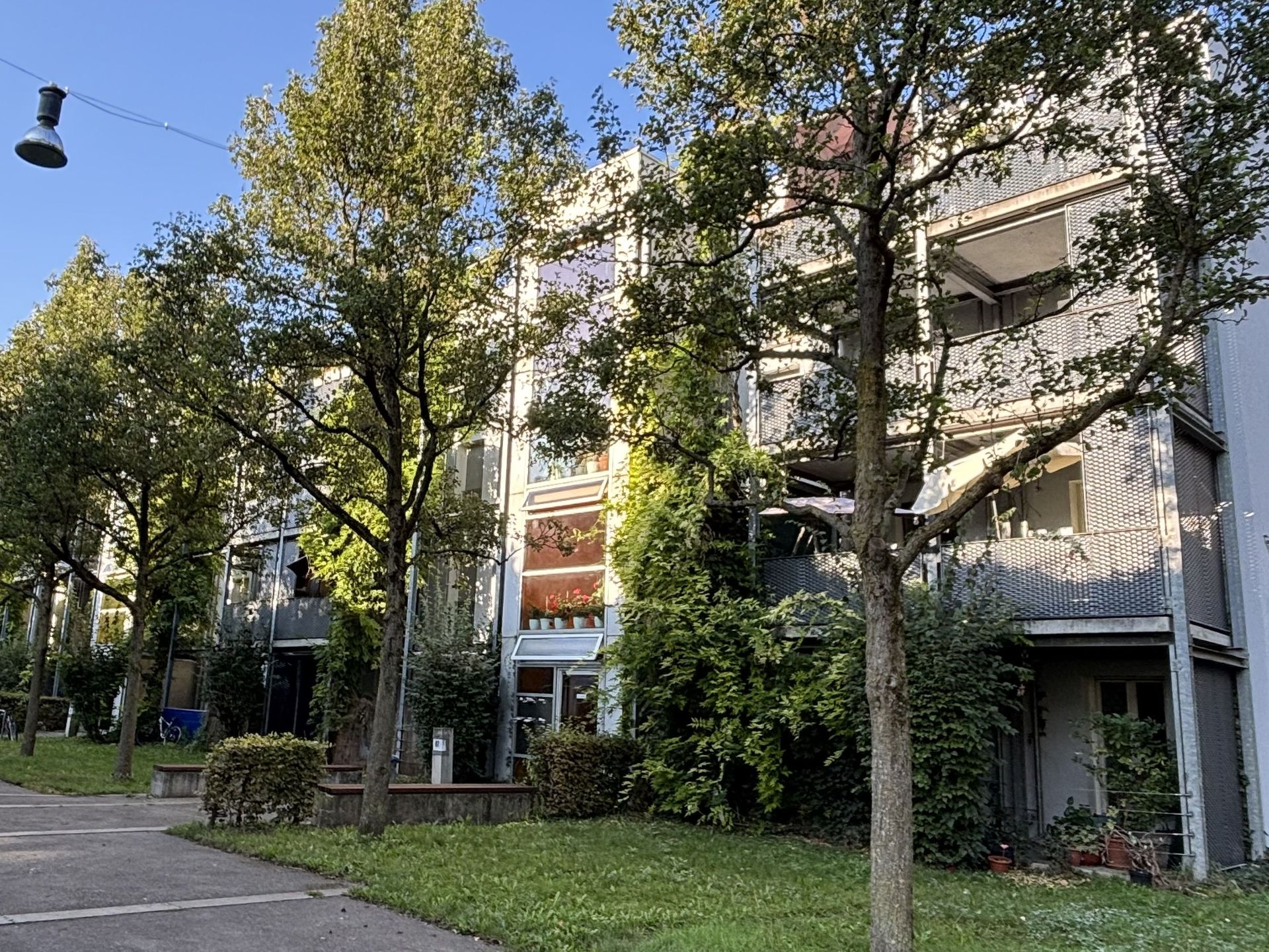 Das Bild zeigt ein modernes Mehrfamilienhaus mit Balkonen und großen Fenstern. Vor dem Haus stehen Bäume und es gibt eine Grünfläche mit einem Weg.