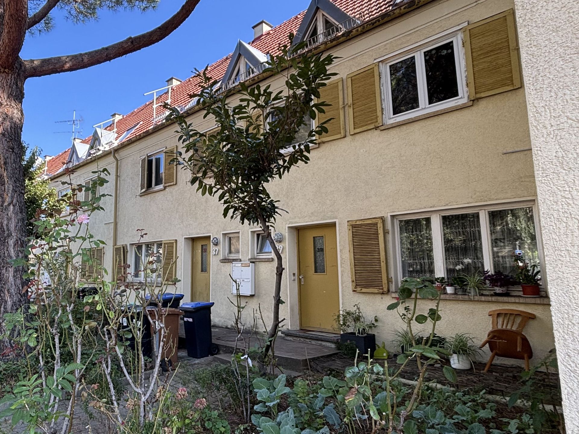 Das Bild zeigt eine Reihe von Häusern mit hellgelber Fassade und gelben Fensterläden. Vor den Häusern befinden sich kleine Gärten mit Blumen, Sträuchern und Bäumen.