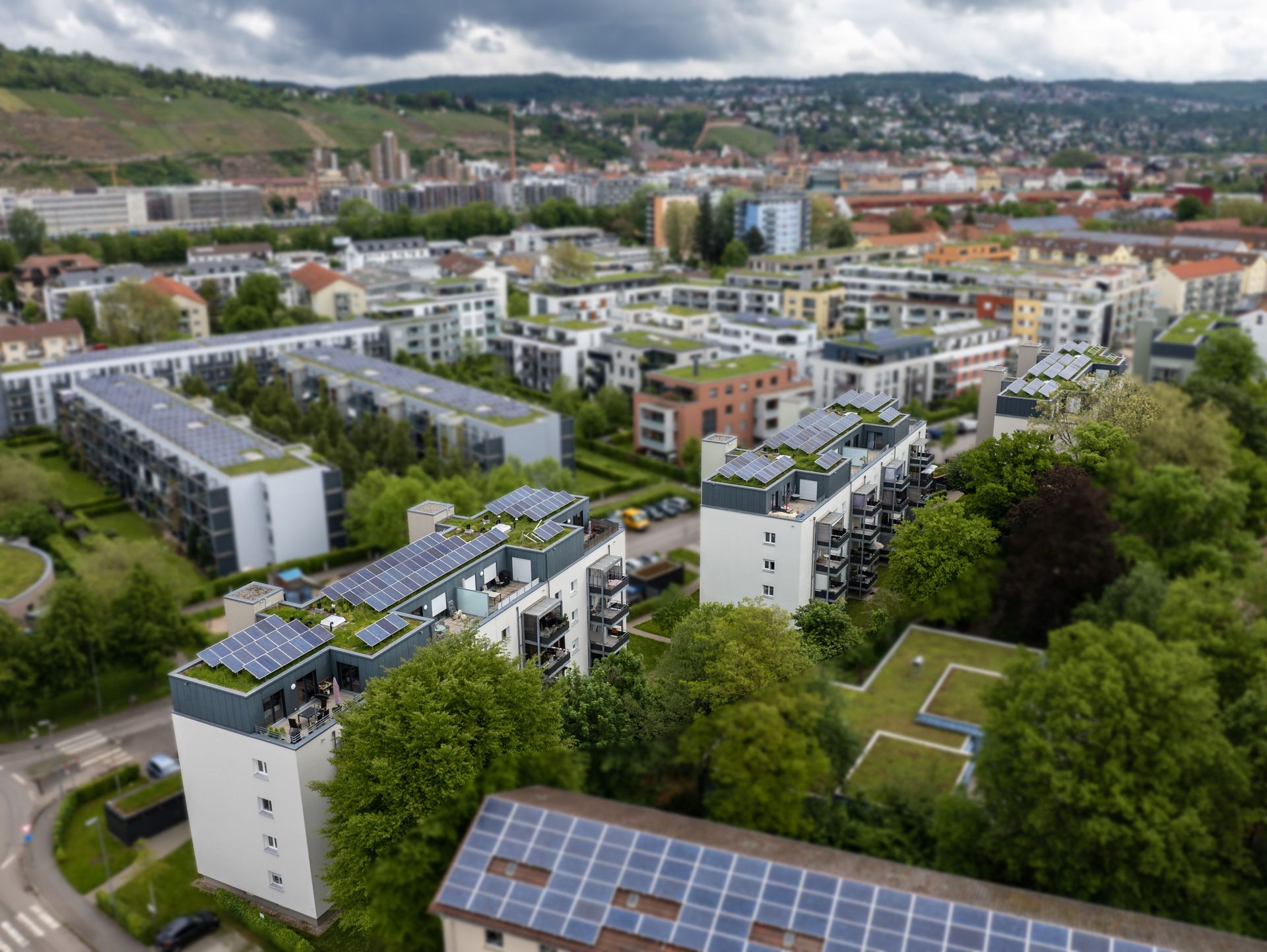 Das Bild zeigt eine Wohnanlage mit 3 Häusern. Alle Häuser haben eine begrünte Dachfläche mit Photovoltaikanlagen auf dem Dach. Die Häuser sind von Grünflächen und Bäumen umgeben.