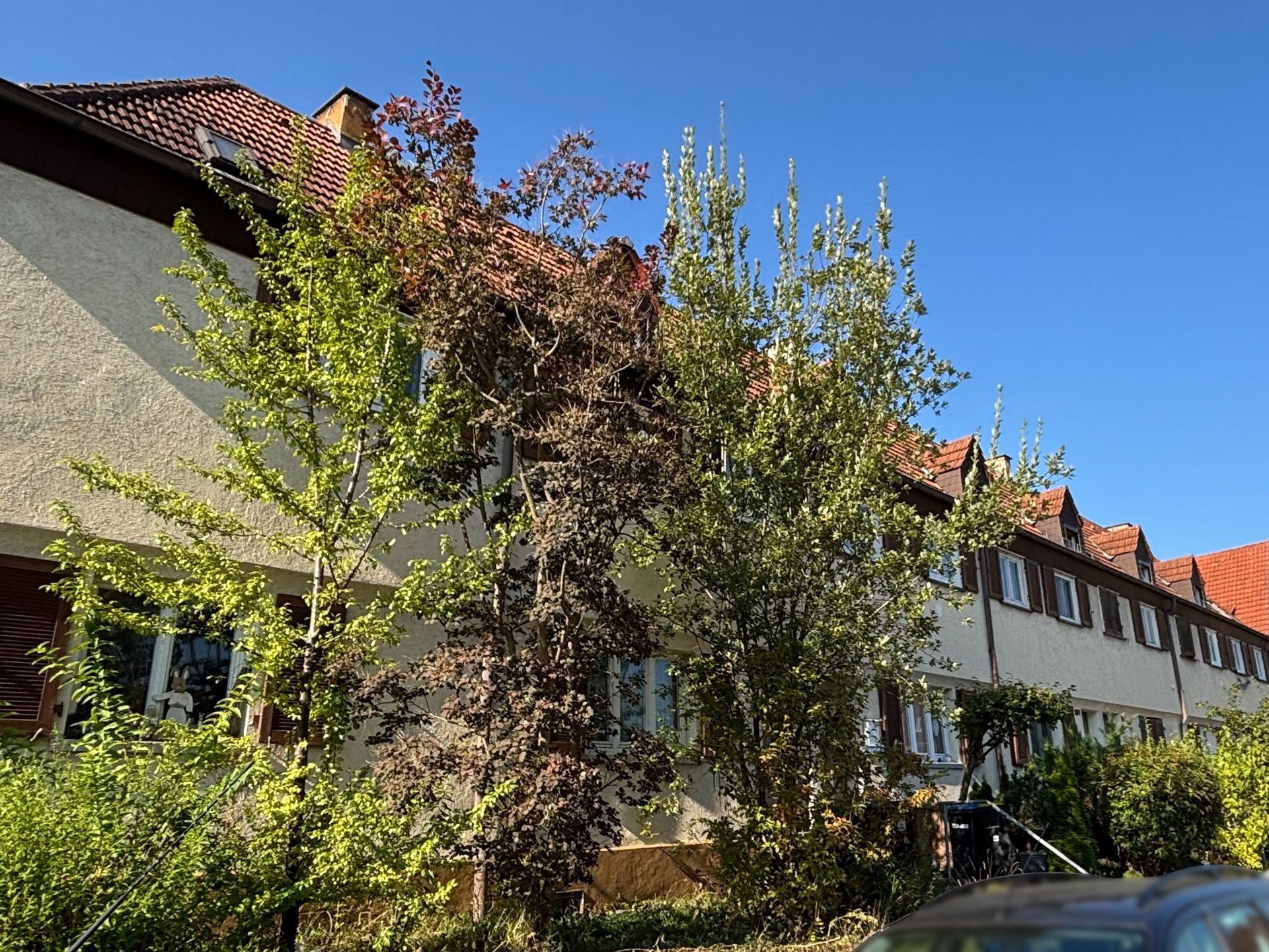 Das Bild zeigt eine Reihe von Häusern mit heller Fassade, roten Ziegeldächern und braunen Fensterläden. Vor den Häusern stehen mehrere Bäume, die Schatten spenden und das Bild dominieren.